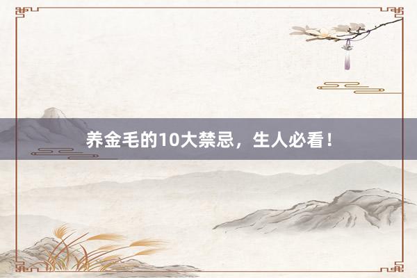 养金毛的10大禁忌，生人必看！