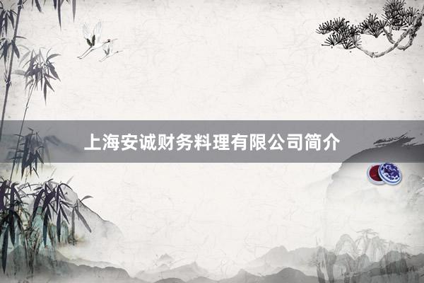 上海安诚财务料理有限公司简介